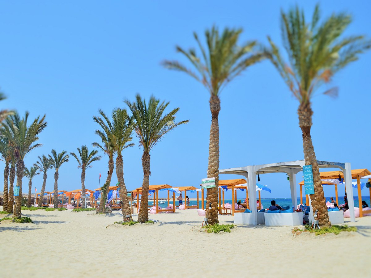 Destinations  Marsa Alam (Abu Dabbab Bay)