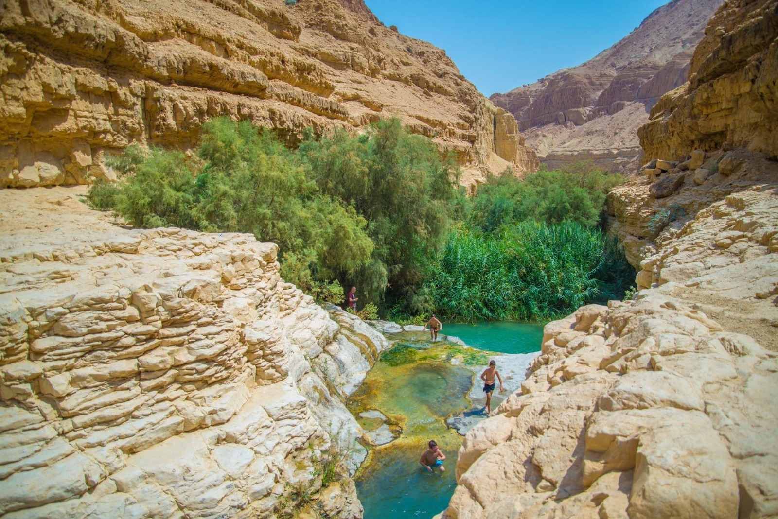Destinations  Ein Gedi Nature Reserve